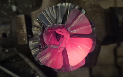 Mission: Rose!