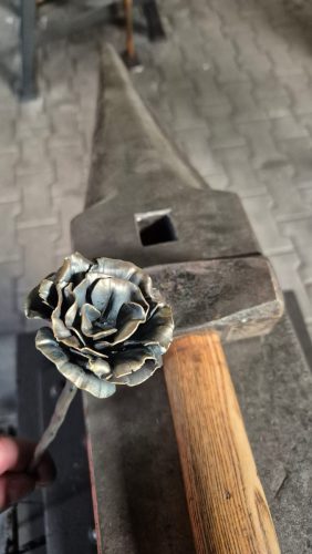 Rose-02