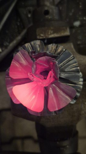 Rose-01