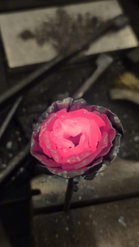 Rose-02